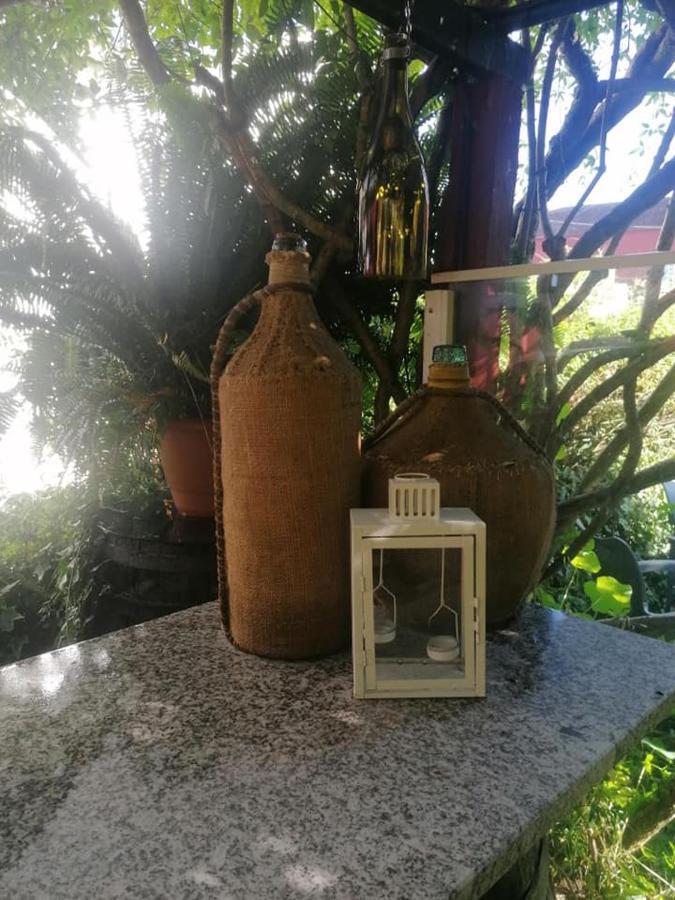 הוילה סנשנשו A Casa Da Ponte מראה חיצוני תמונה